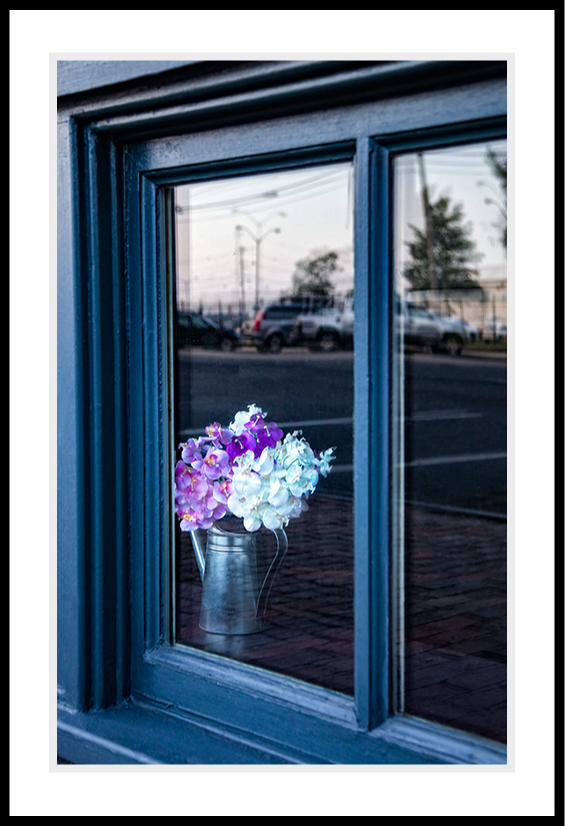 Flowers as seen through a window.
